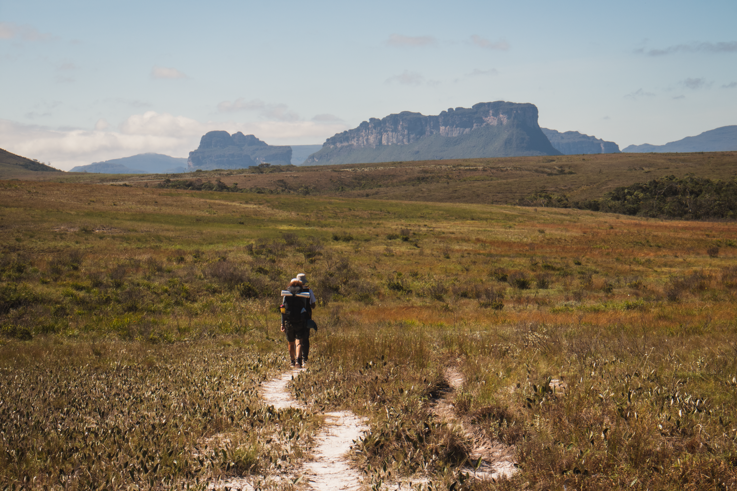vale do pati selvagem-3